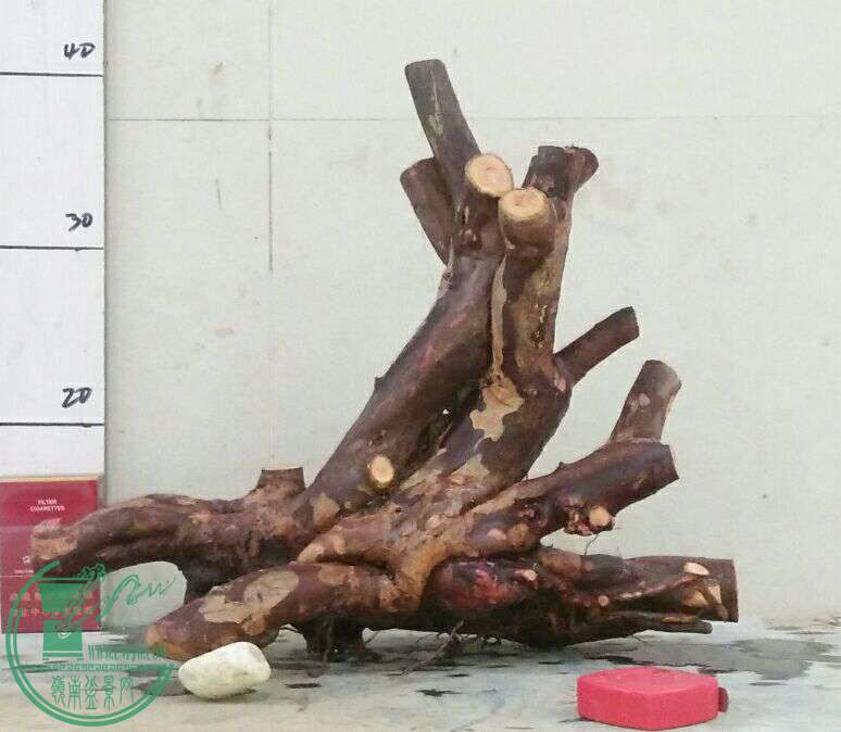 QQͼƬ20161206205141.jpg