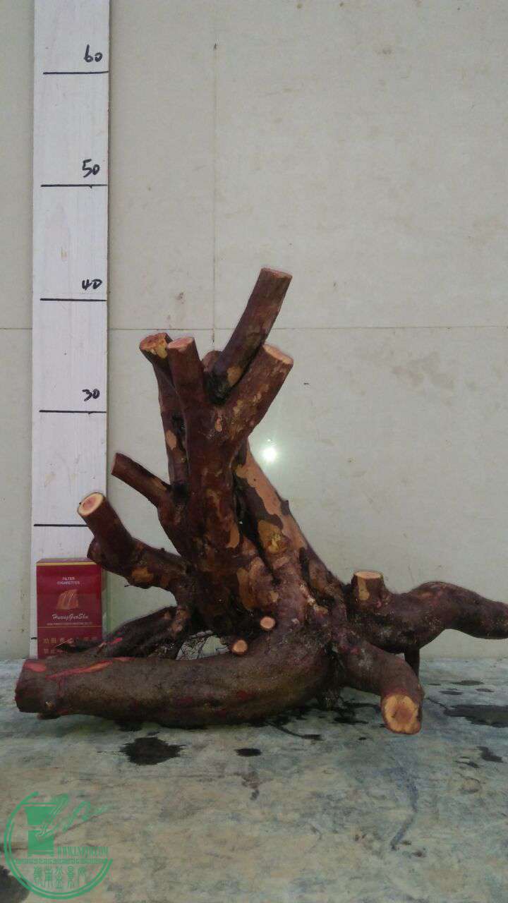 QQͼƬ20161206205042.jpg