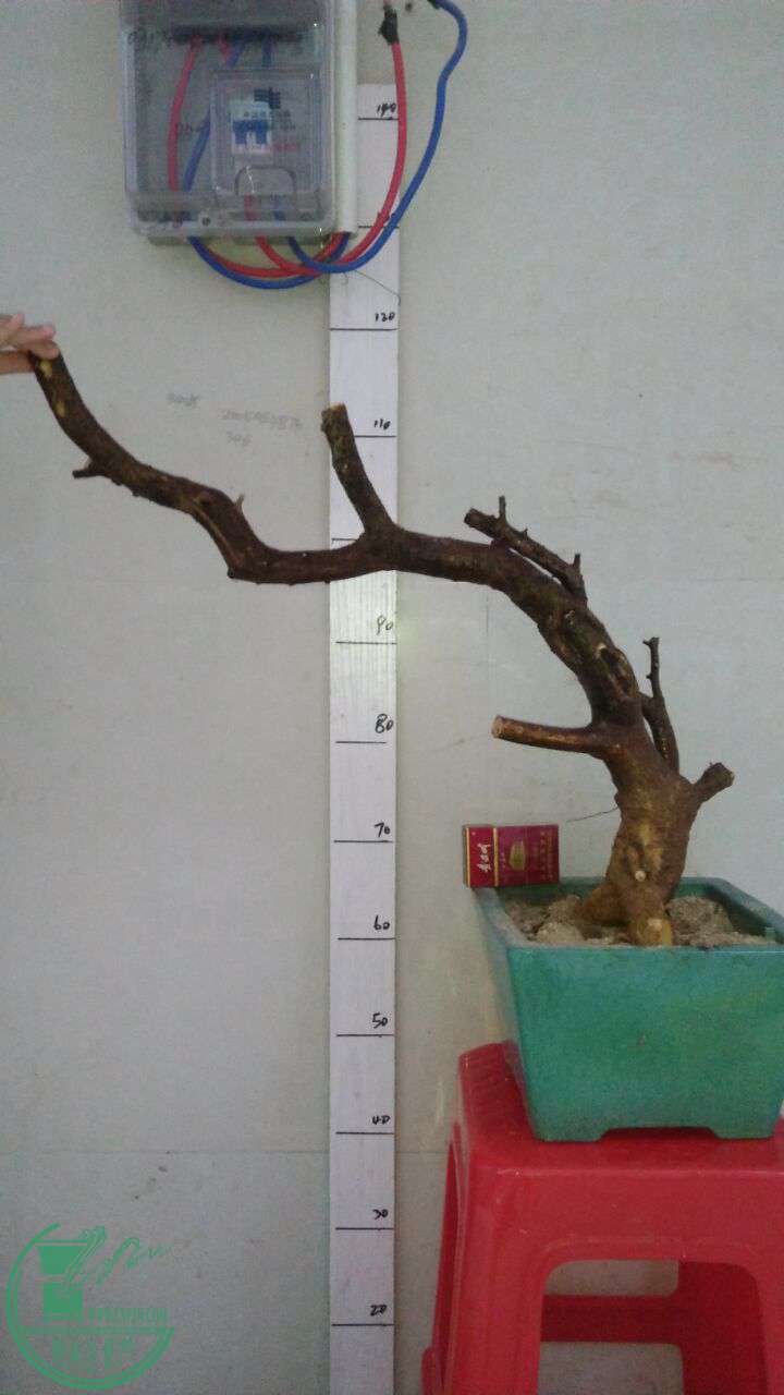 QQͼƬ20161206205500.jpg