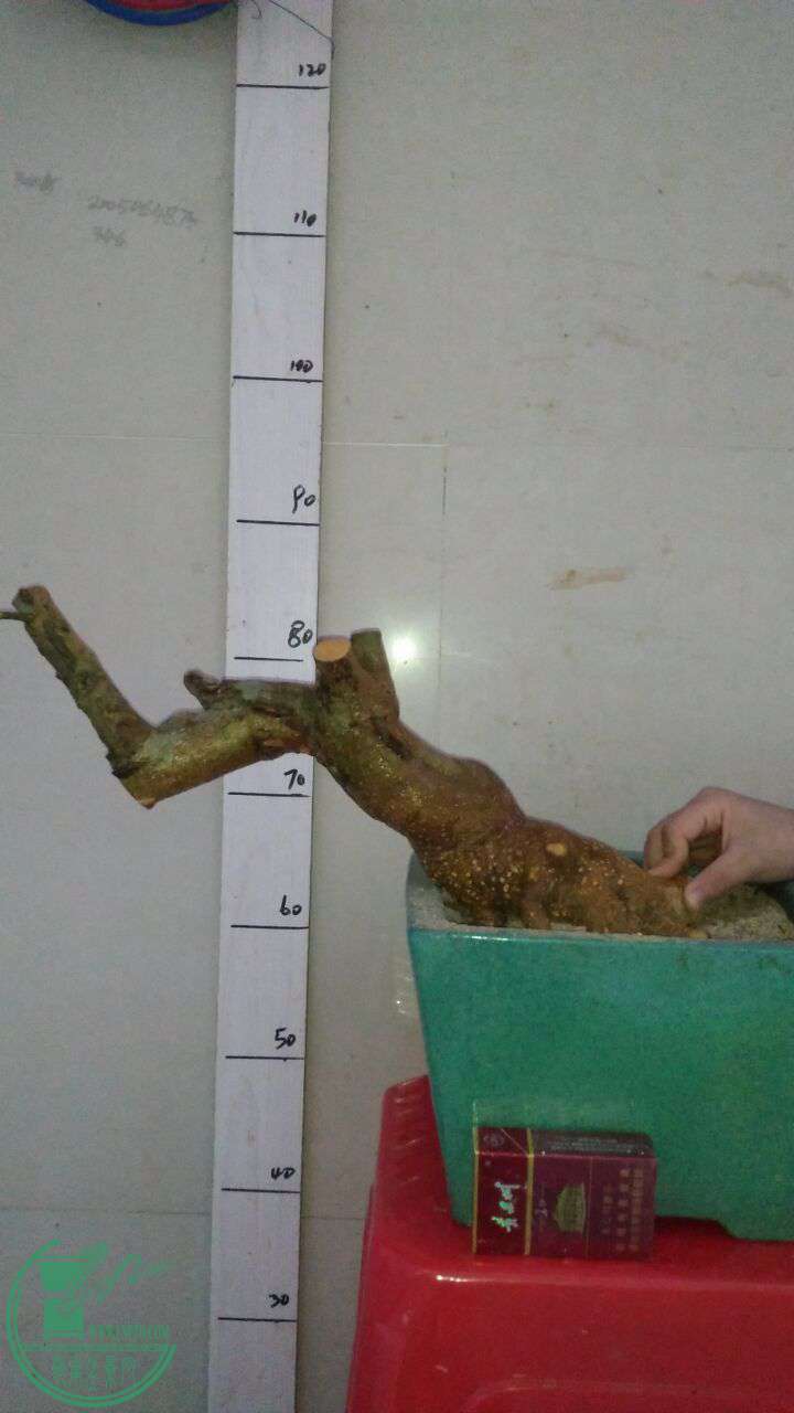 QQͼƬ20161206212000.jpg