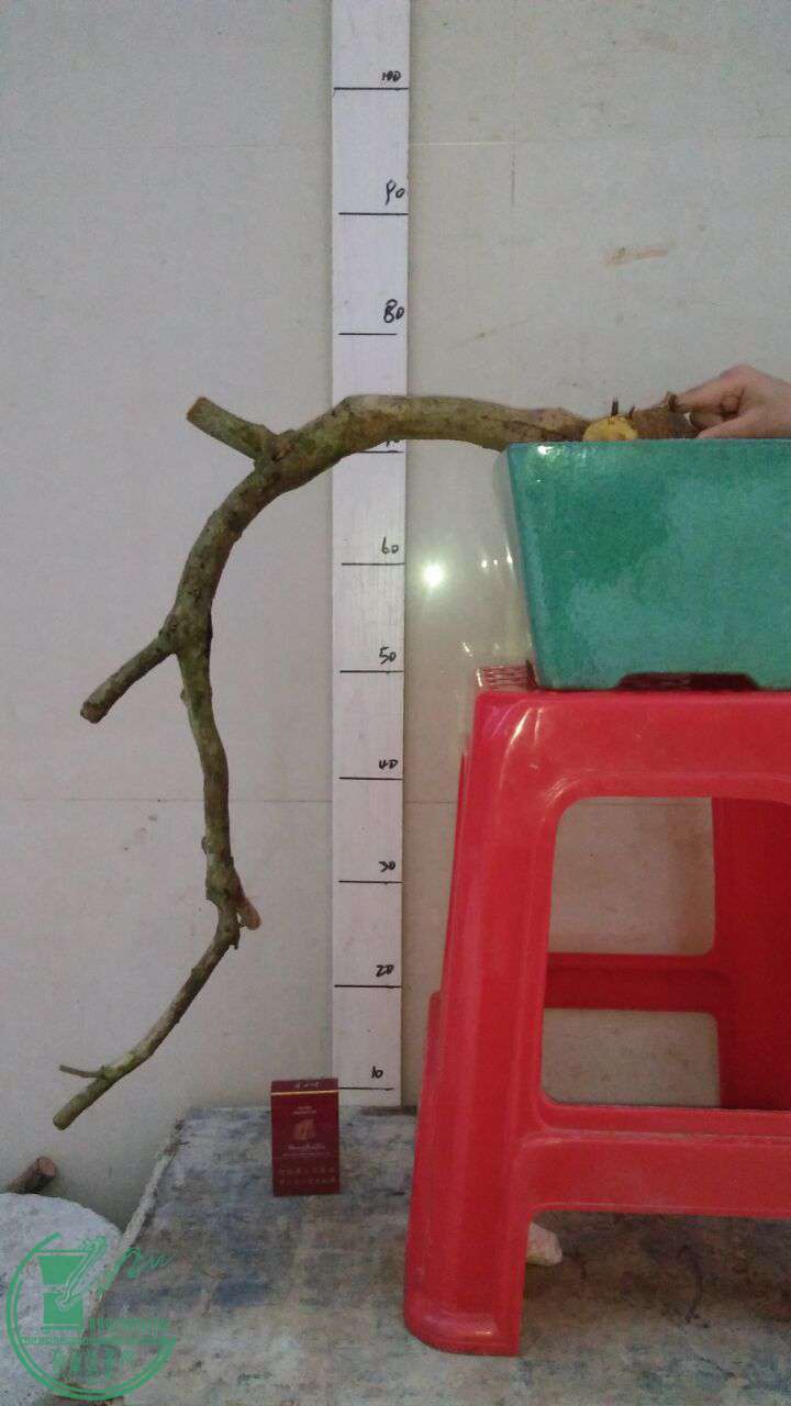 QQͼƬ20161206212022.jpg