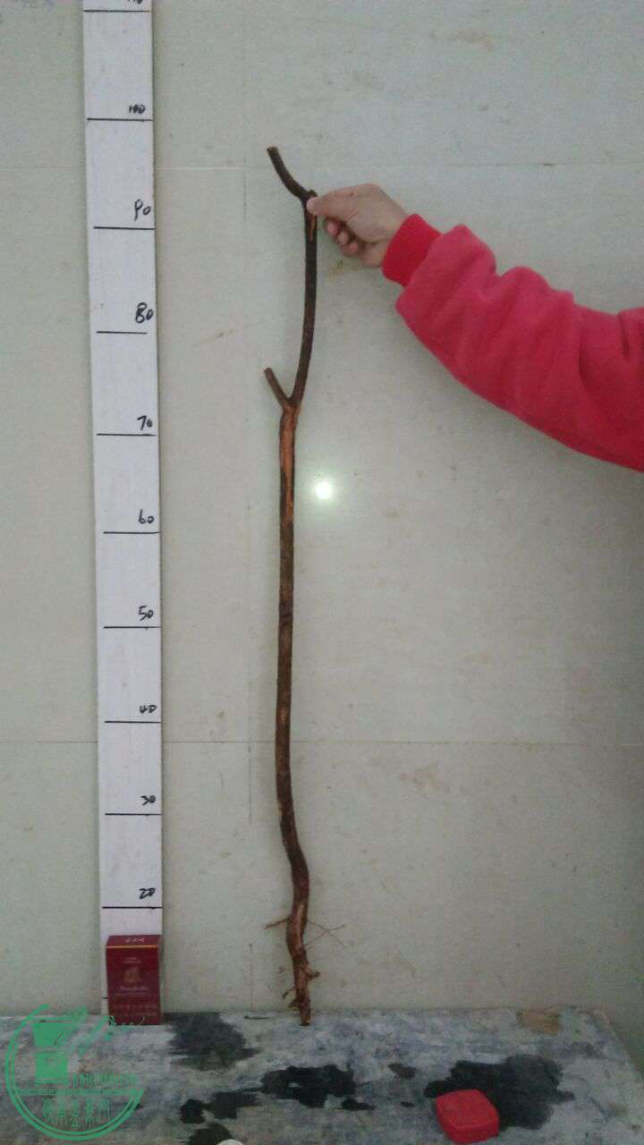 QQͼƬ20161206212032.jpg