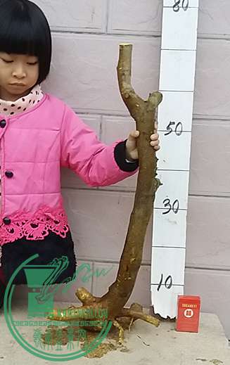 20161206_173550_mh1481108371325.jpg
