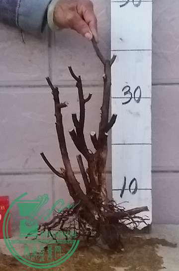 20161208_180246_mh1481193743215.jpg