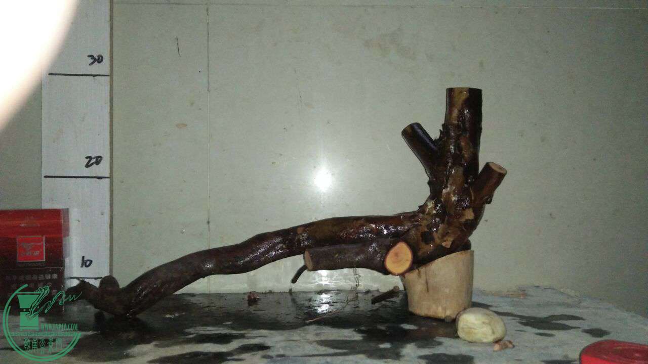 QQͼƬ20161208203945.jpg
