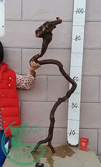 20161209_175445_mh1481280883555.jpg