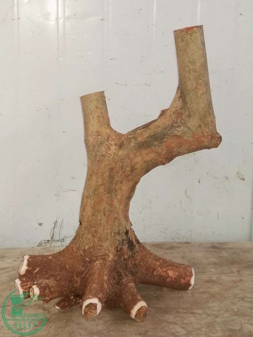 2СҶ280
