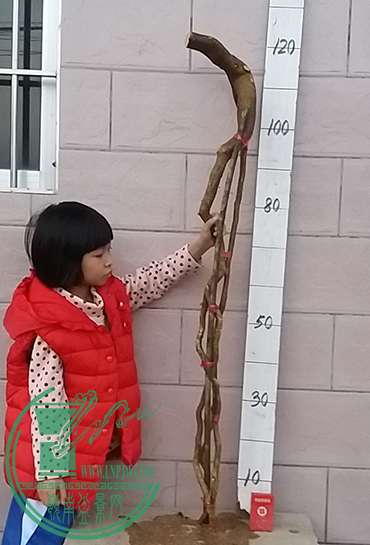 20161209_175721_mh1481281017706.jpg