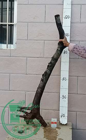 20161210_172935_mh1481368258047.jpg