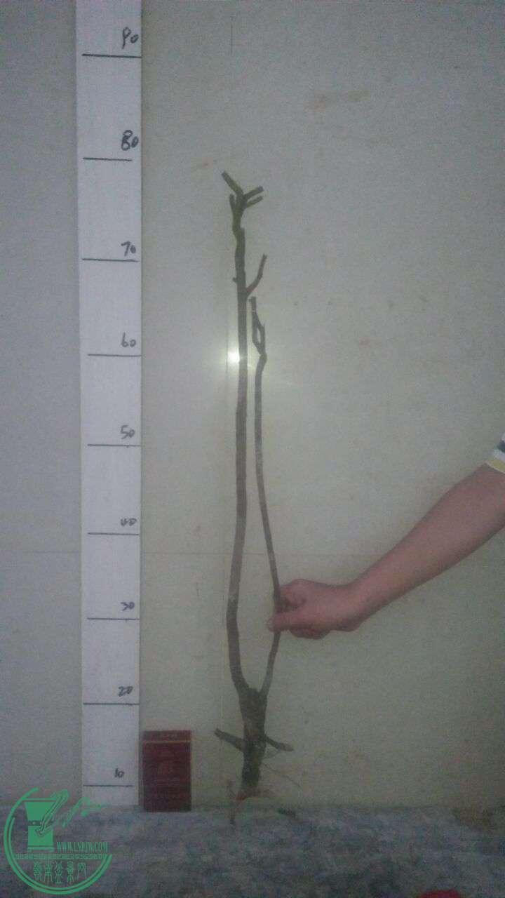 QQͼƬ20161210203617.jpg
