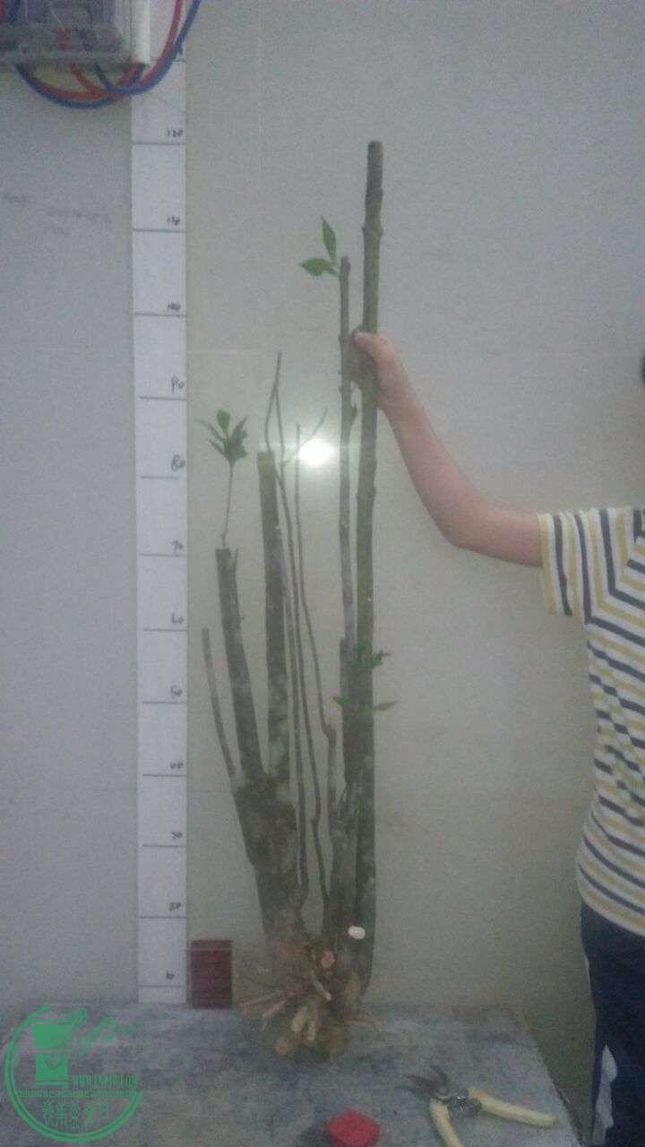 QQͼƬ20161210203719.jpg