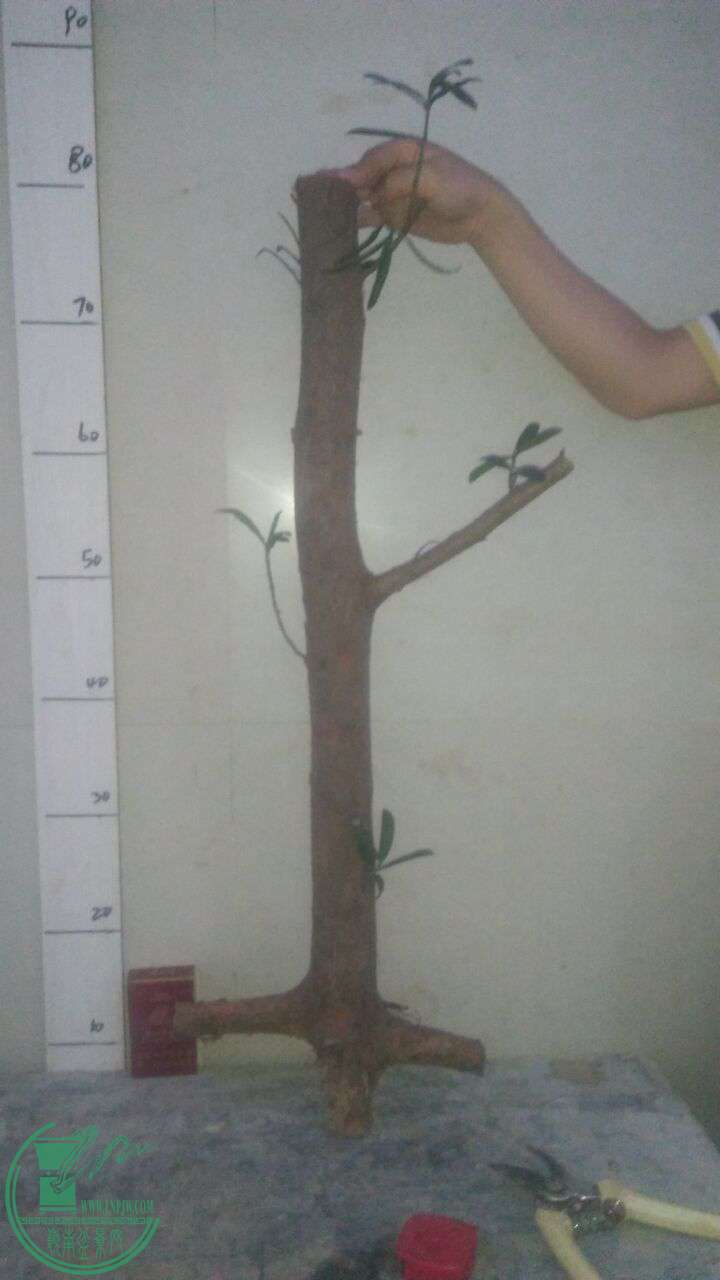 QQͼƬ20161210203715.jpg