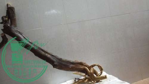 P61211-204459_.jpg