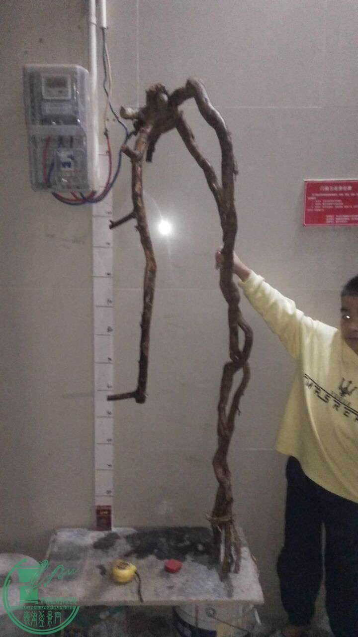 QQͼƬ20161211210255.jpg
