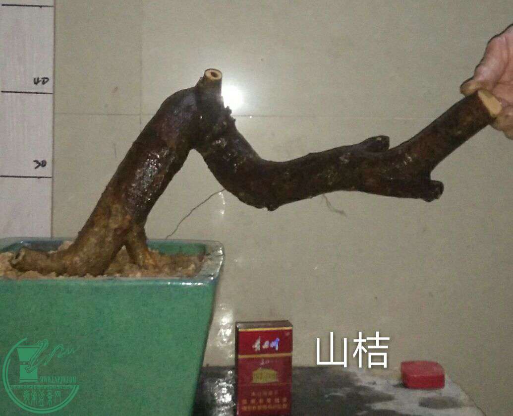 QQͼƬ20161211210136.jpg