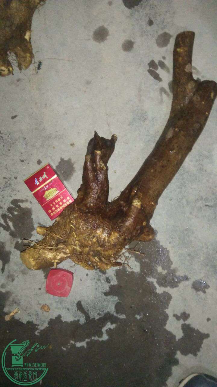 QQͼƬ20161211210352.jpg