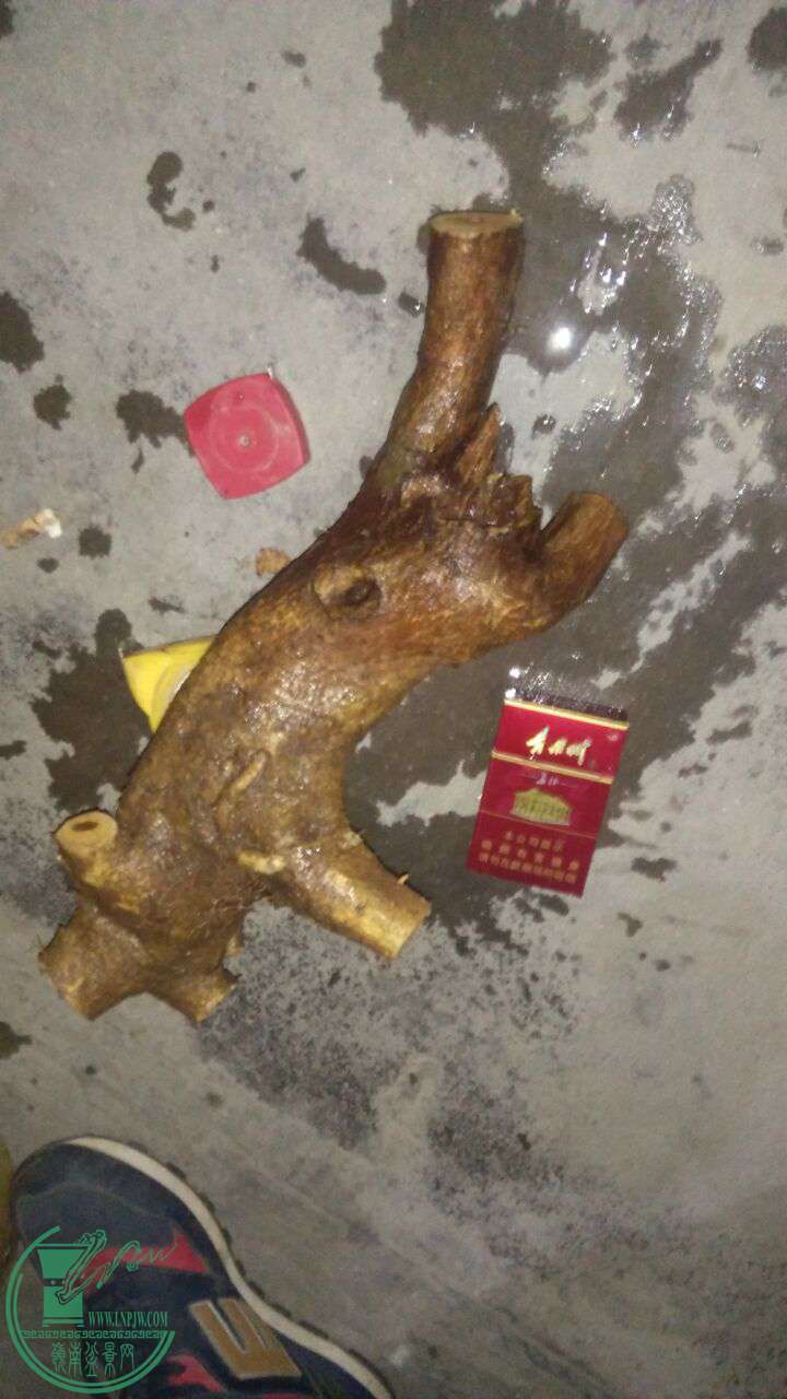 QQͼƬ20161211213212.jpg