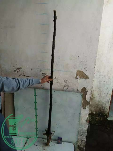 psbCAXEAUG0.jpg