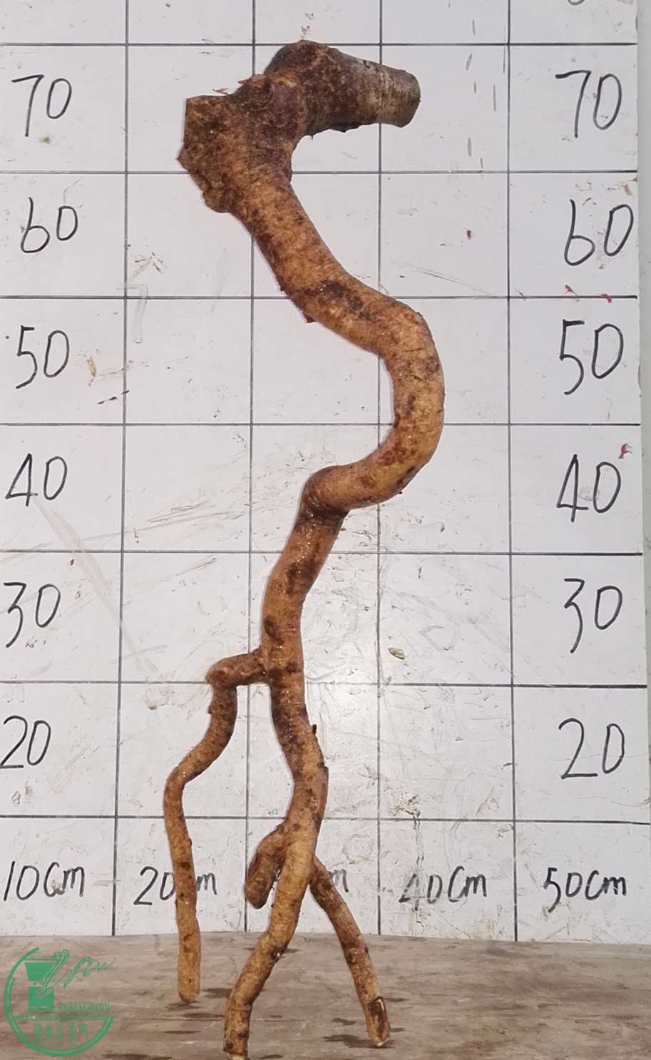 2ŶԽ350