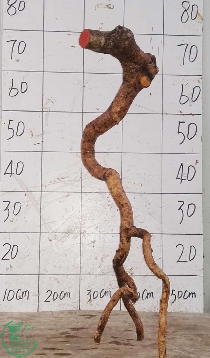 2ŶԽ350