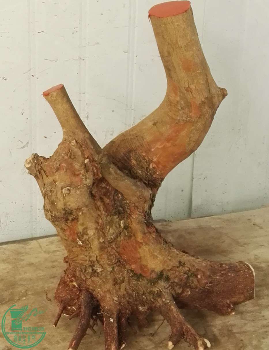 3СҶ650