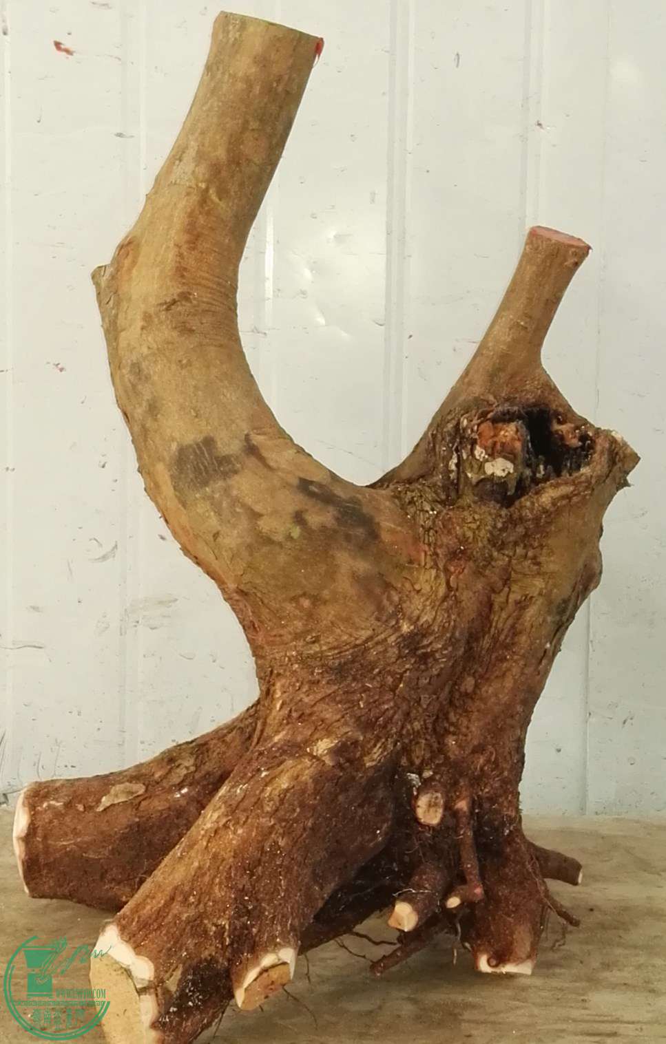3СҶ650
