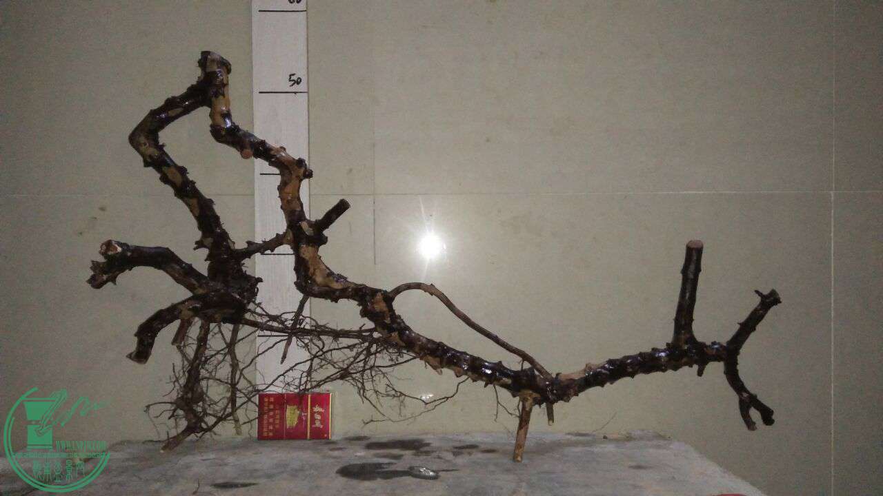 QQͼƬ20161213203120.jpg