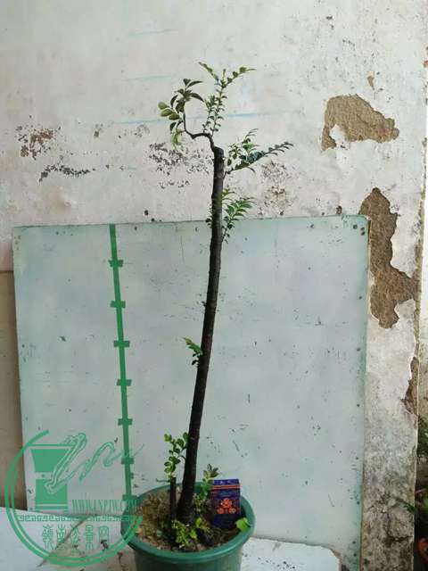 psbCA6Y169A.jpg