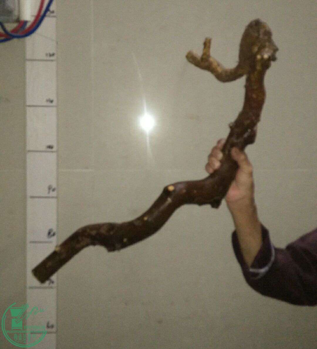 QQͼƬ20161213203146.jpg