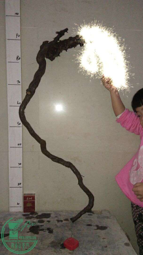 QQͼƬ20161213203208.jpg