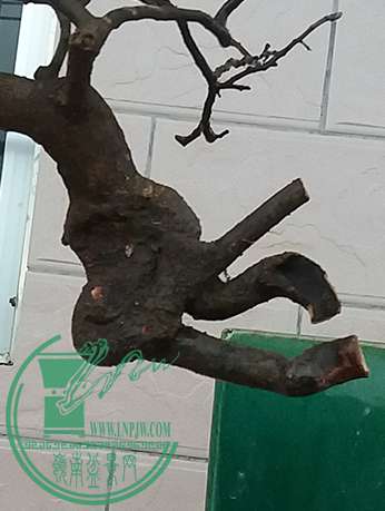 20161213_174841_mh1481626532186.jpg