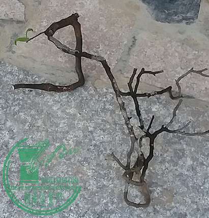 20161213_174733_mh1481626430816.jpg