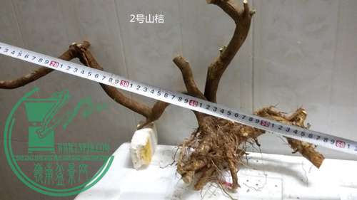 P61214-184341_.jpg