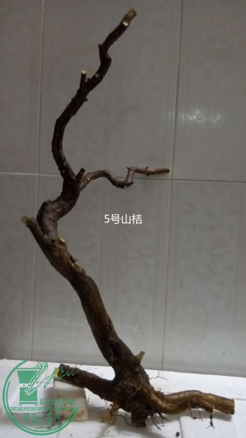 P61214-182704_.jpg