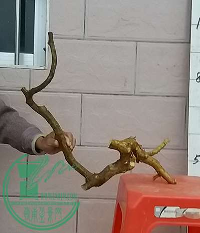 20161214_175321_mh1481712275719.jpg