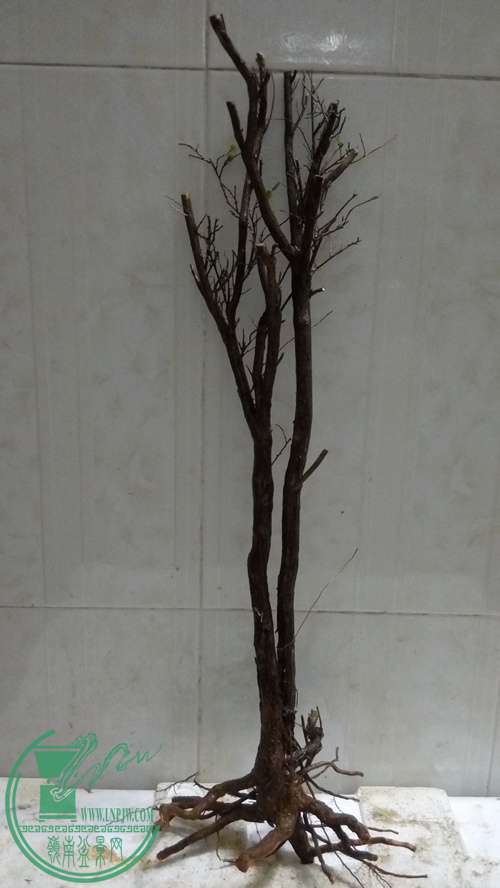 P61214-201042_.jpg