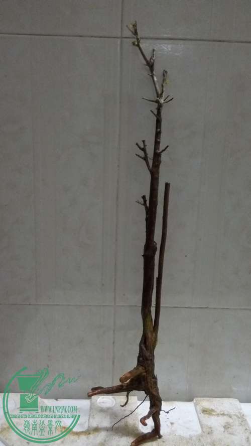 P61214-201407_.jpg