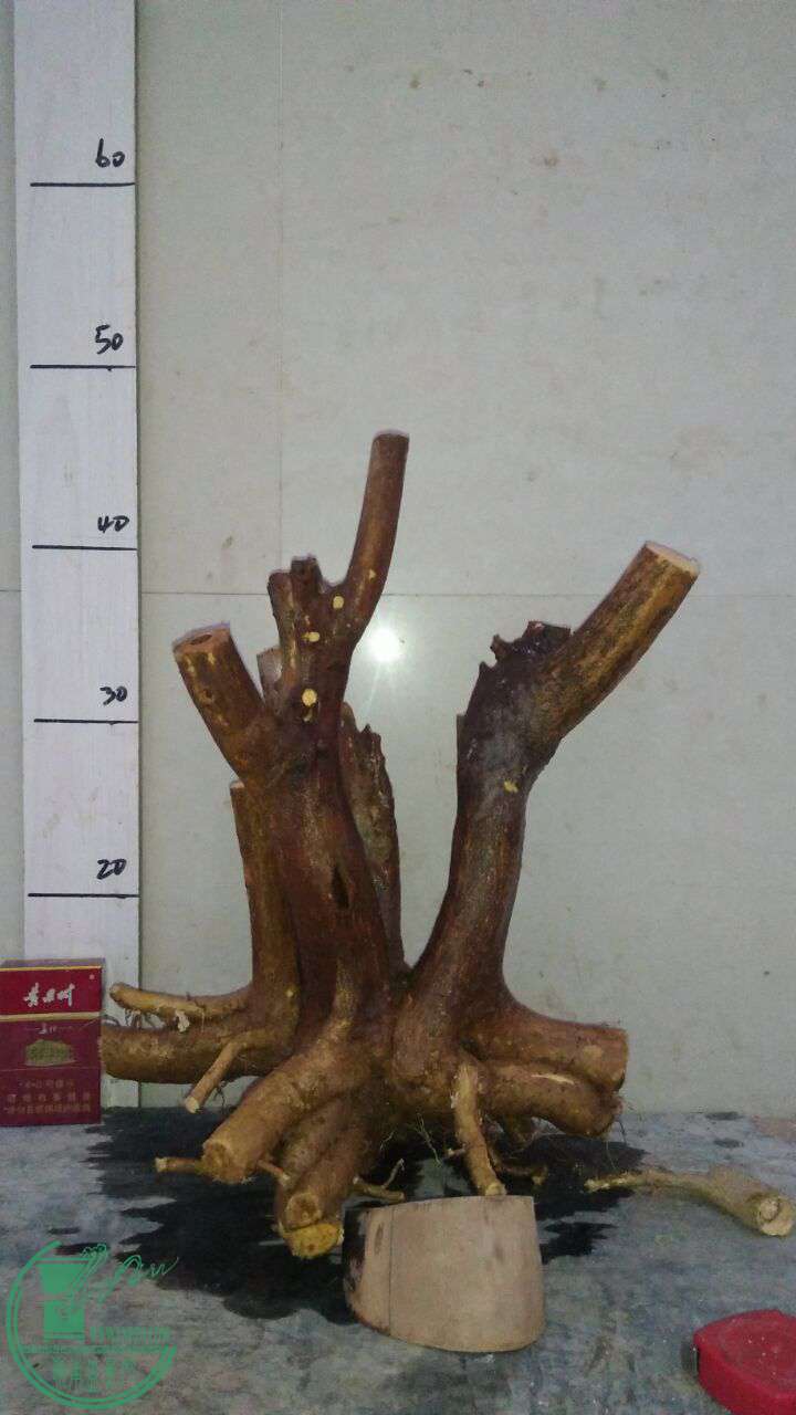QQͼƬ20161214204739.jpg