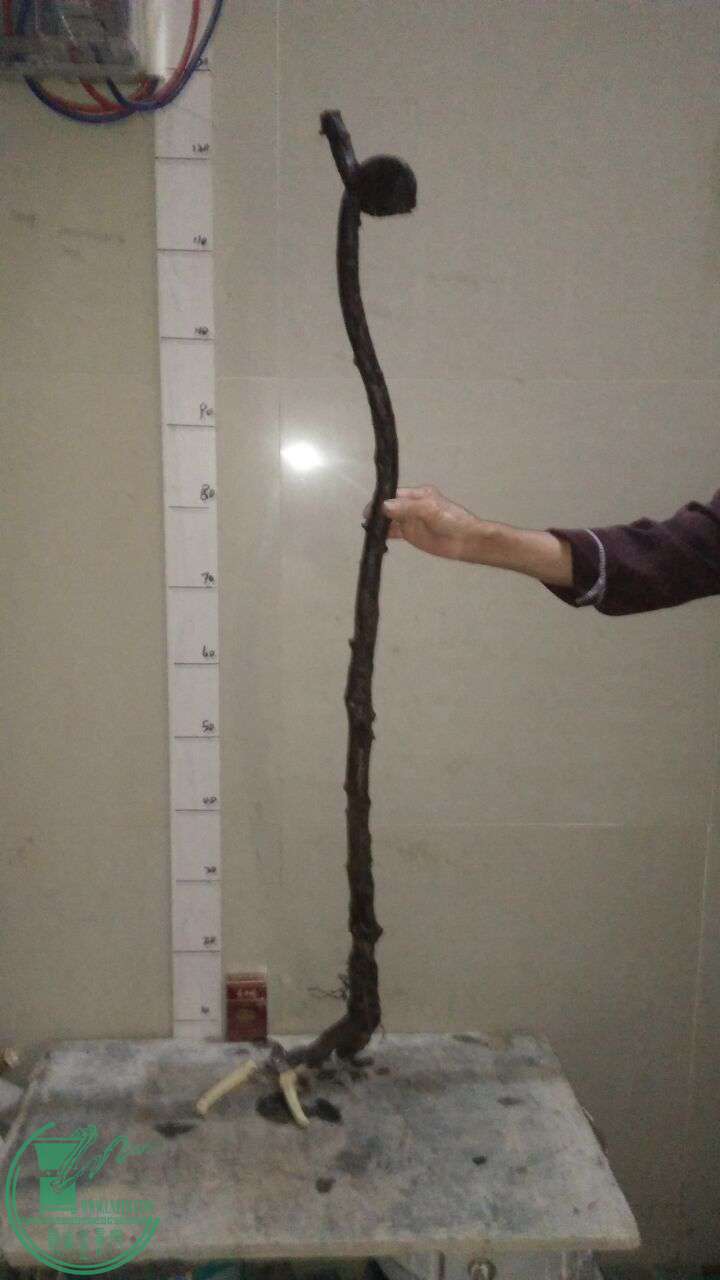 QQͼƬ20161214204811.jpg