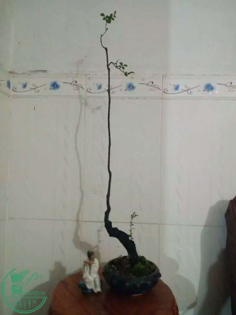 1481776533040.jpeg
