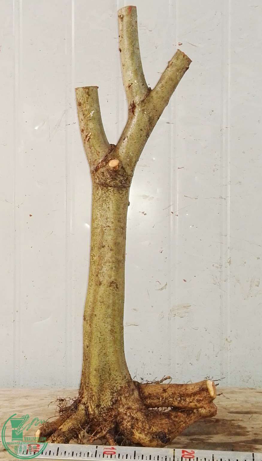 2260