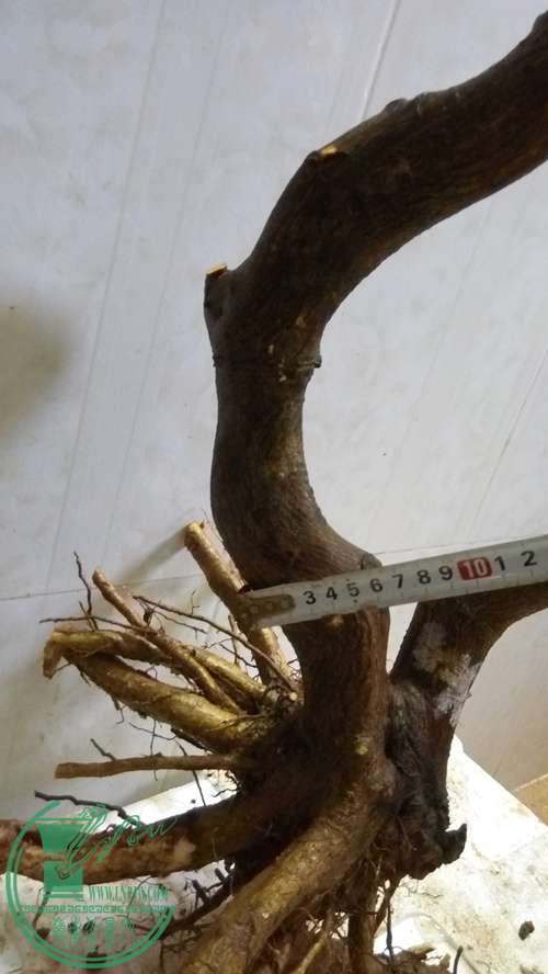 P61215-164945_.jpg