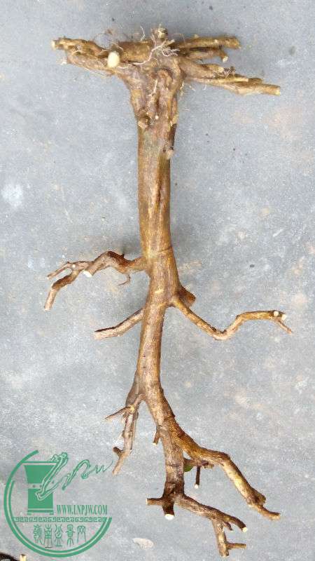 843556