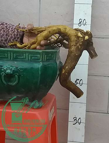 20161216_175010_mh1481884867763.jpg