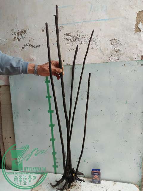 IMG20161217130949.jpg