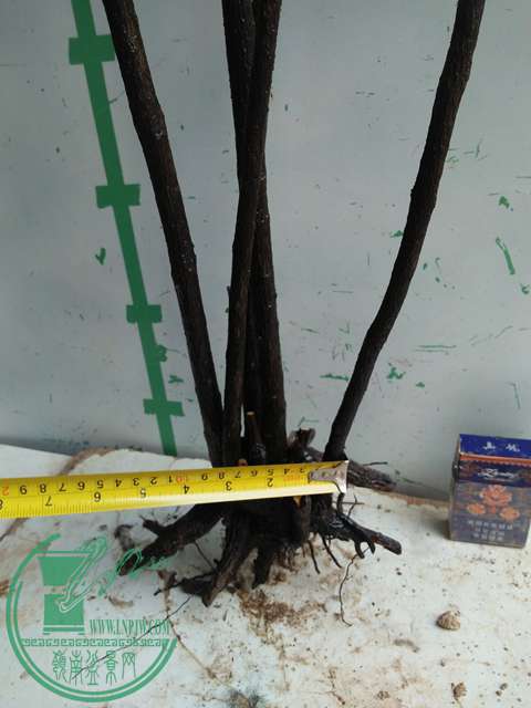 IMG20161217130954.jpg