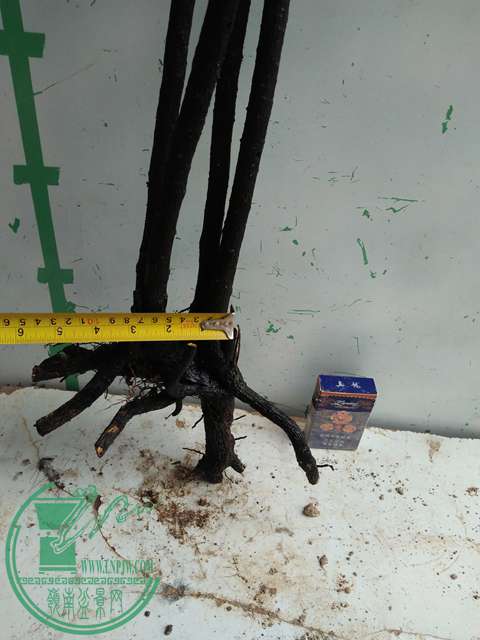IMG20161217131021.jpg