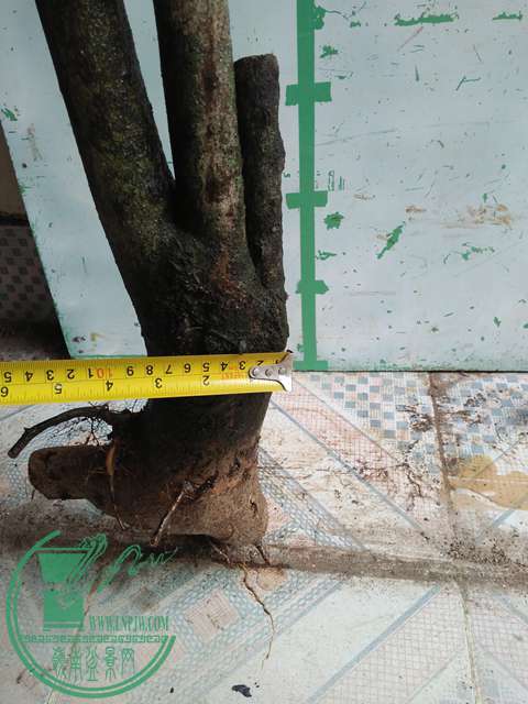 IMG20161217130421.jpg