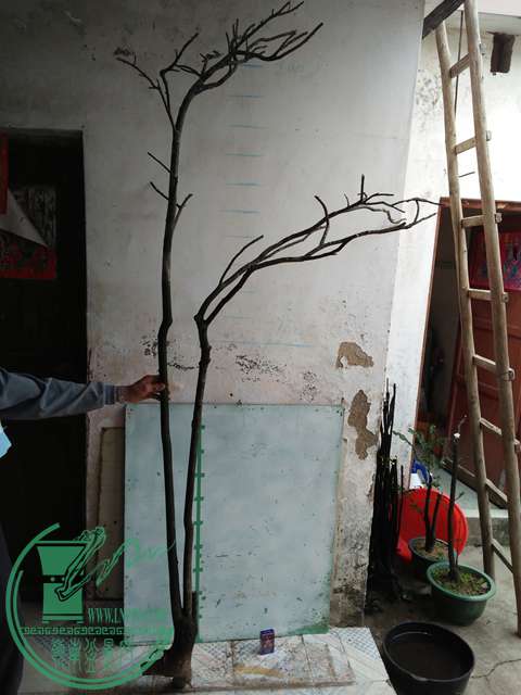 IMG20161217130429.jpg