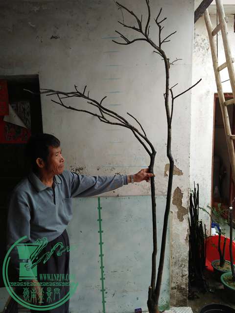 IMG20161217130455.jpg